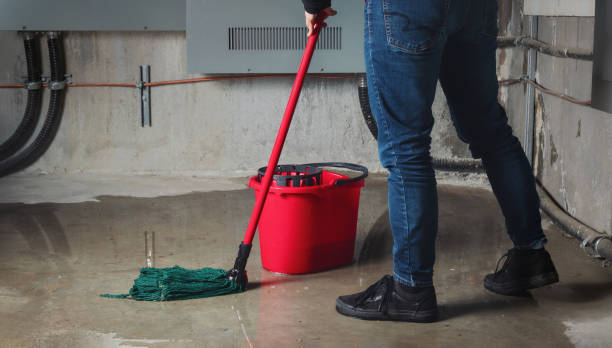 Best Flood damage cleanup  in Kempner, TX
