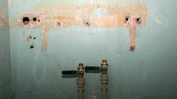Best Basement water damage restoration  in Kempner, TX