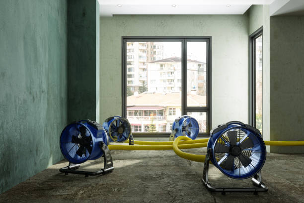 Best Water damage restoration near me  in Kempner, TX